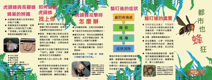 夏秋之際，為虎頭蜂活動高峰期，防蜂螫注意事項：圖片